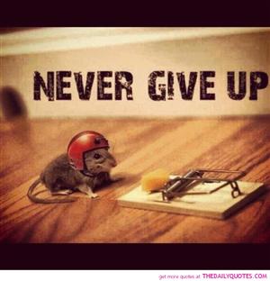 never give up cute mouse